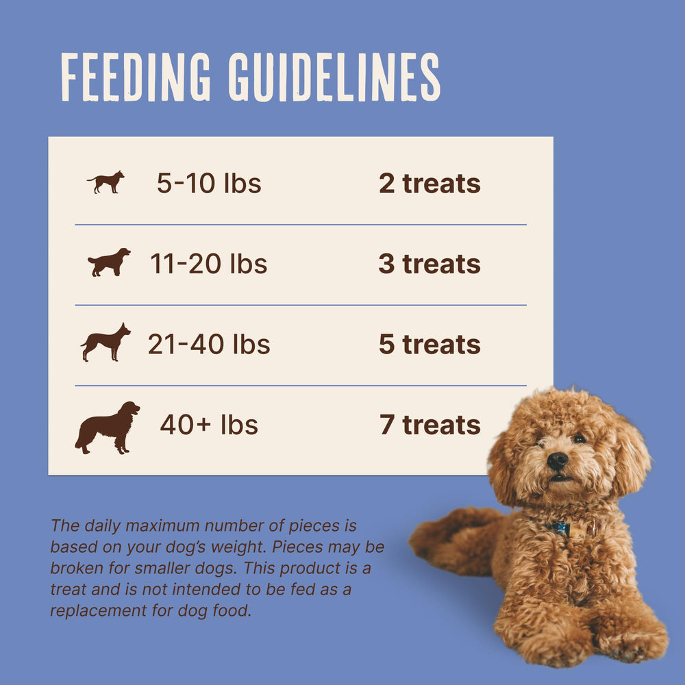 Fibres prébiotiques: soutien digestif potentiel pour chiens sensibles.