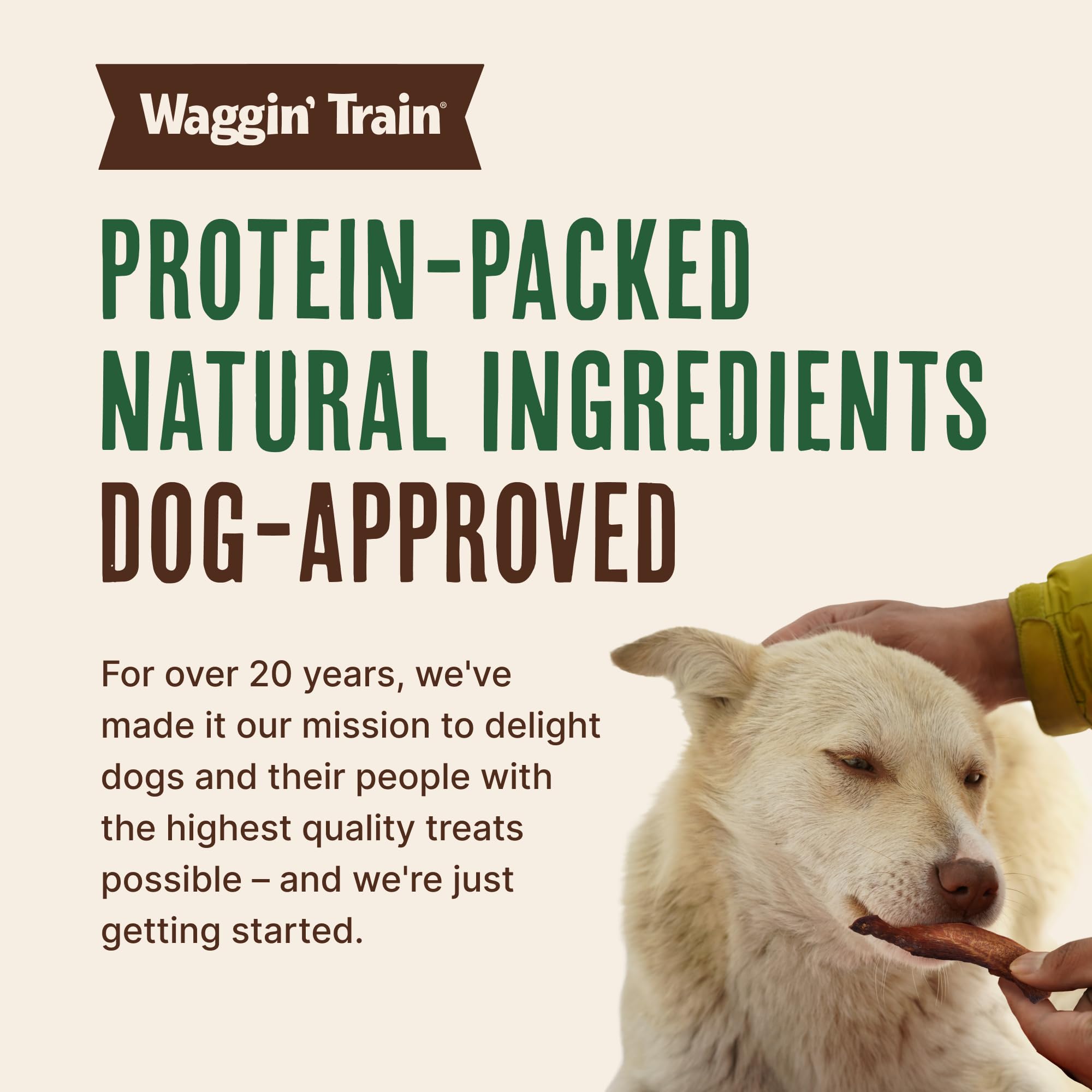 Waggin' Train récompense activité chien: utile lors de l'entraînement.