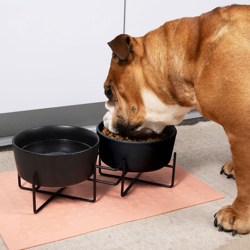 Waggo cadre en fer noir, socle stable et robuste.