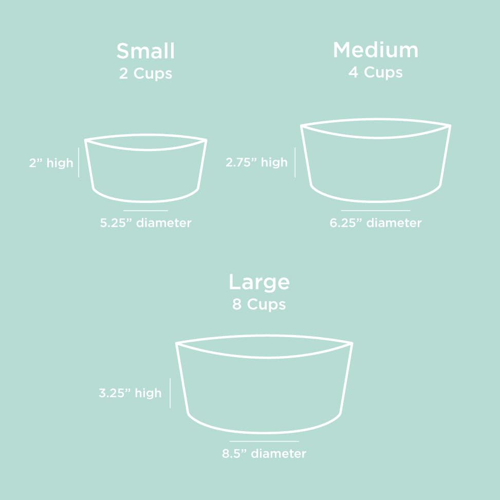 Waggo ensemble simple et chic pour repas quotidiens des chiens.
