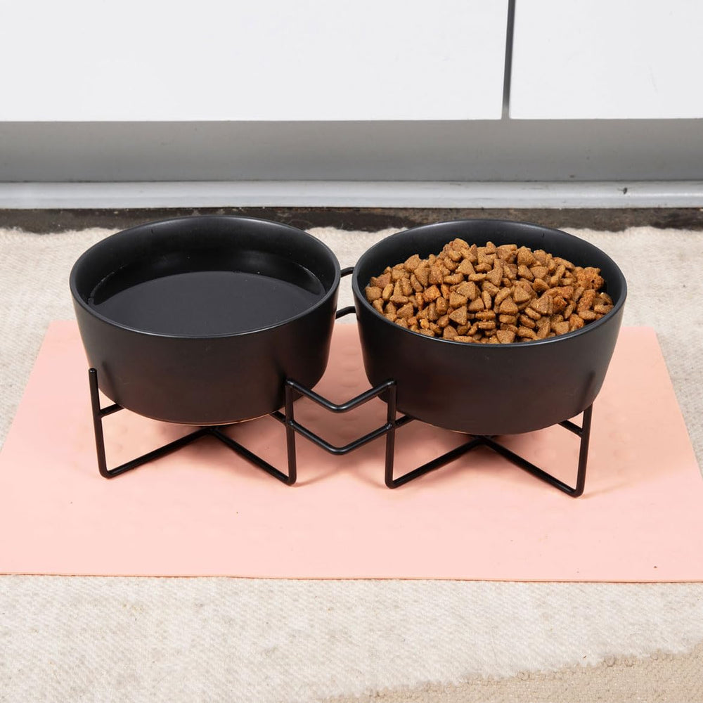 Waggo support élevé pour chien, posture confortable lors des repas.