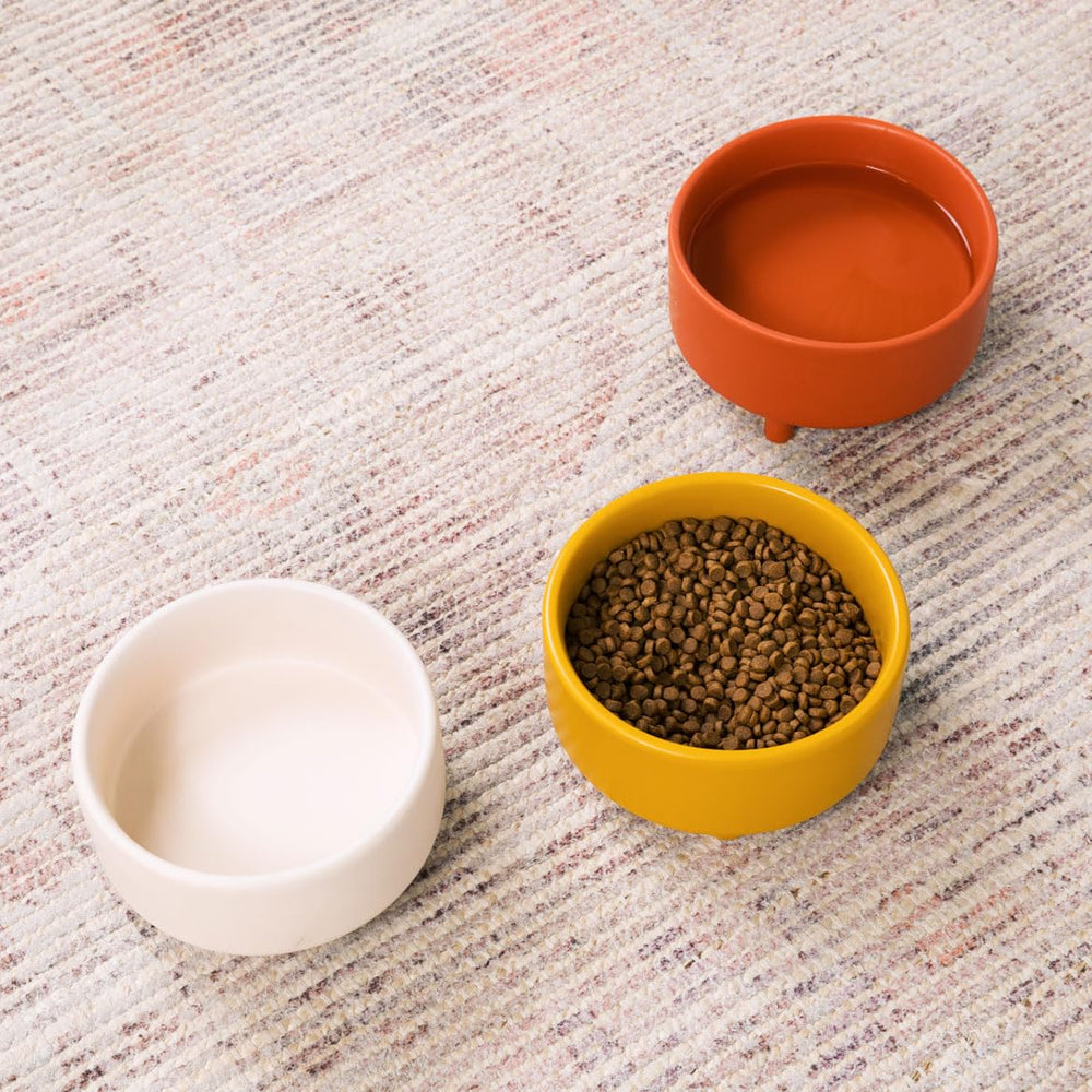 Bol Waggo Uplift antitippage en céramique assure stabilité pendant les repas
