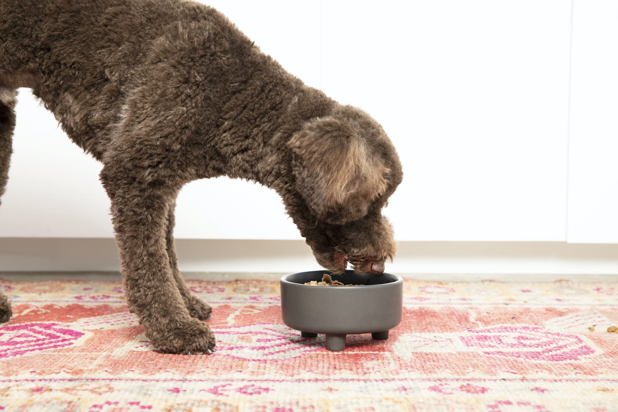 Bol Waggo Uplift en céramique, durable et sûr pour repas.