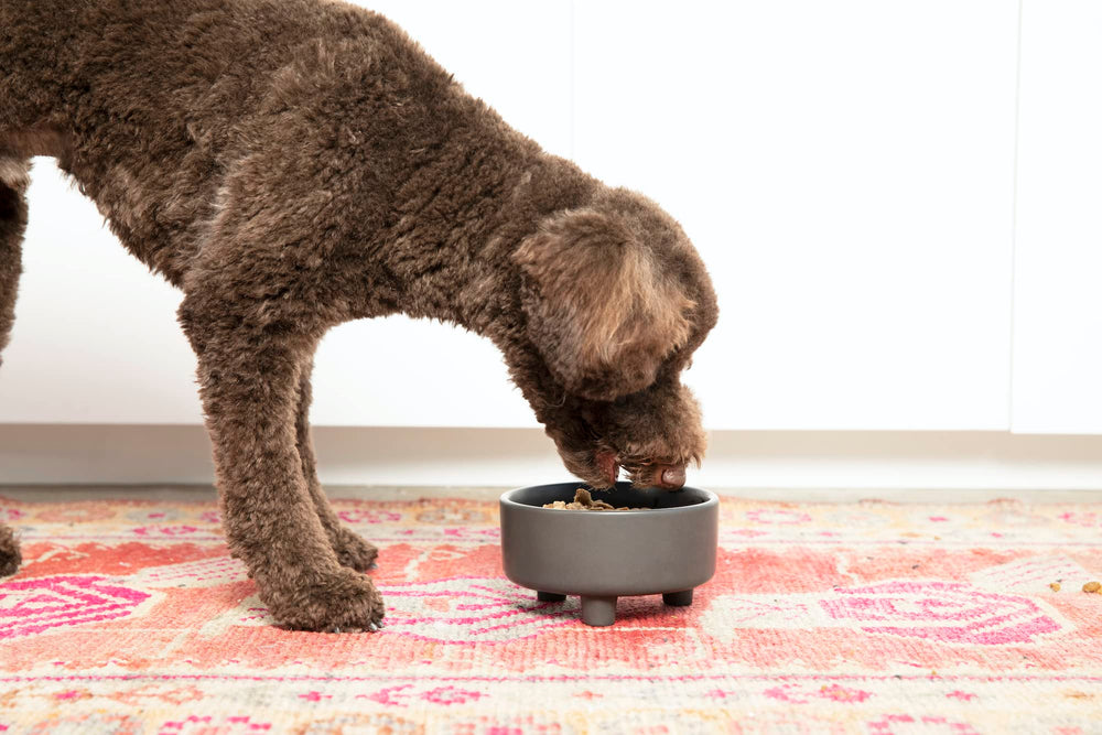 Bol Waggo Uplift en céramique, durable et sûr pour repas.