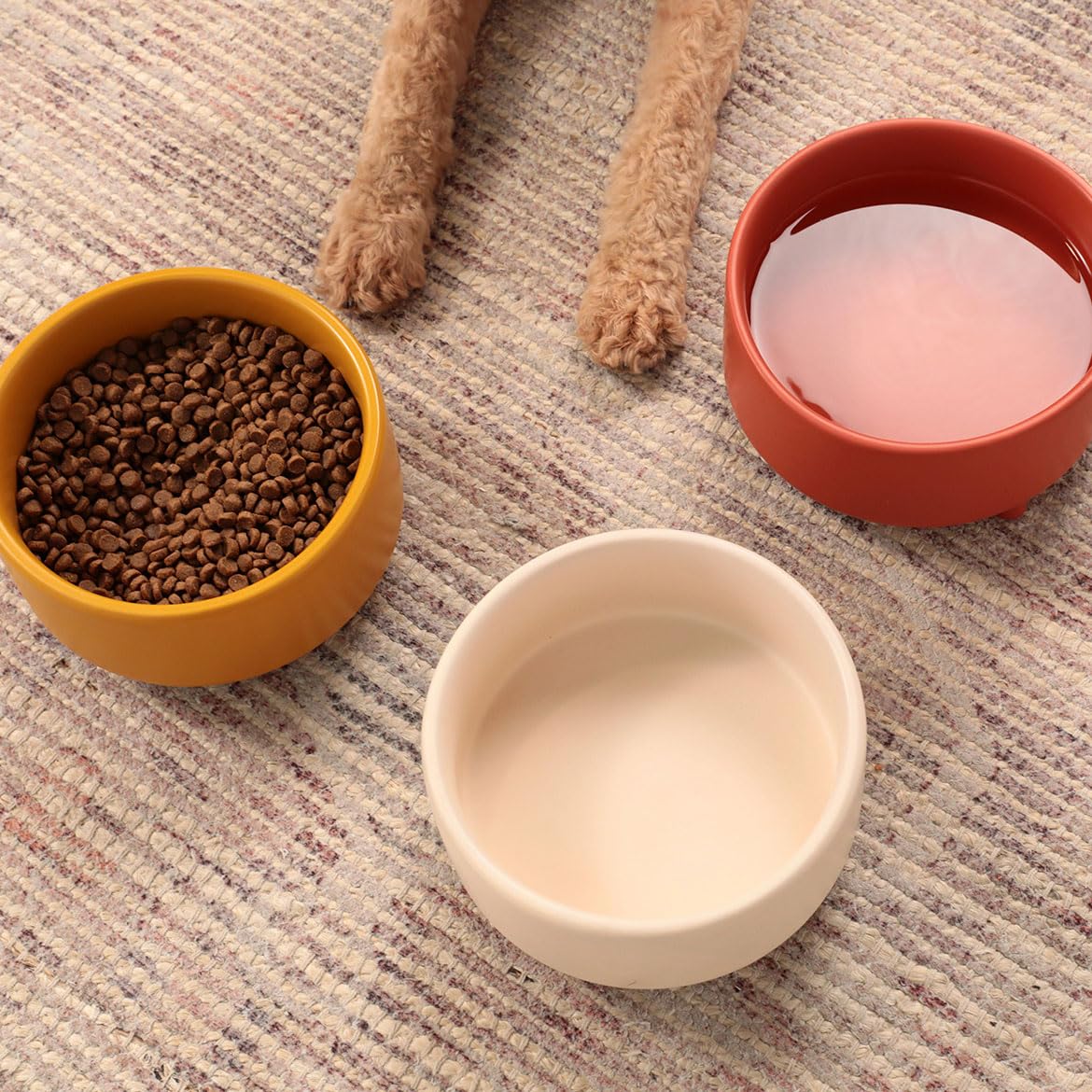 Bol Waggo Uplift pour eau, design stable et hygiénique.