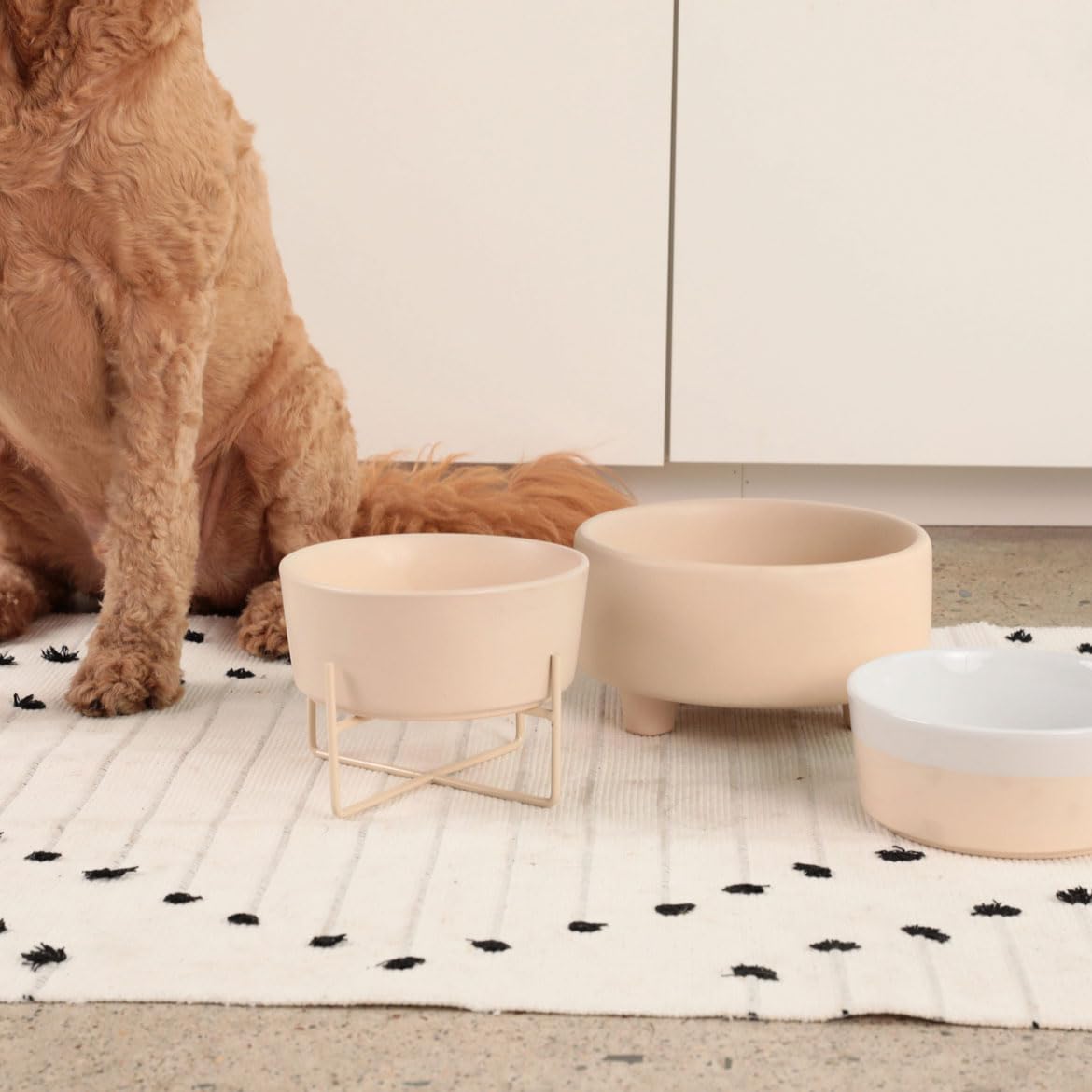 Bol Waggo Uplift chien moyen en céramique, parfait pour croquettes et eau
