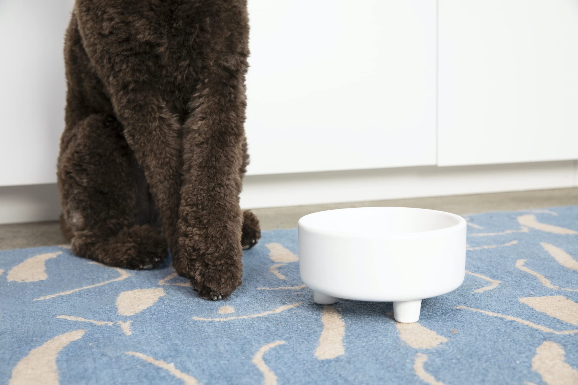 Bol Waggo Uplift pour chien grand, blanc, résistance et stabilité.