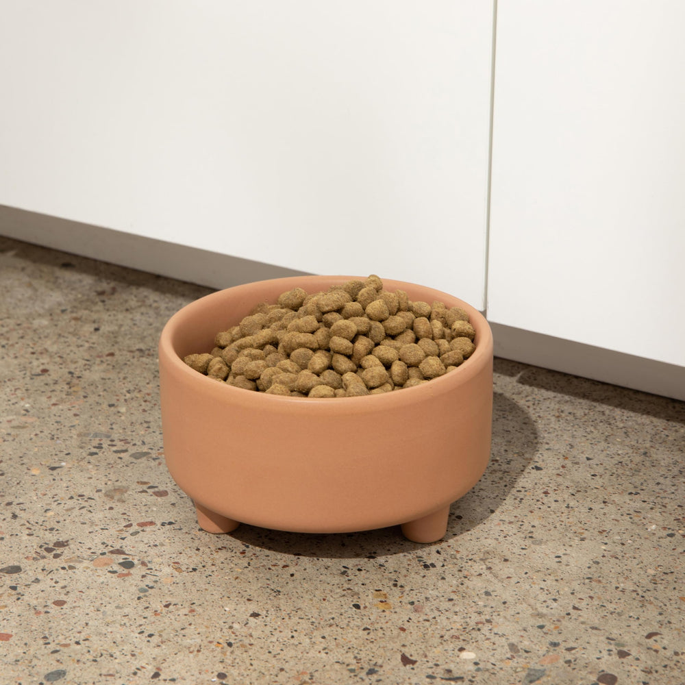 Bol Waggo Uplift moyen, parfait pour chiens de taille moyenne et nettoyage facile.