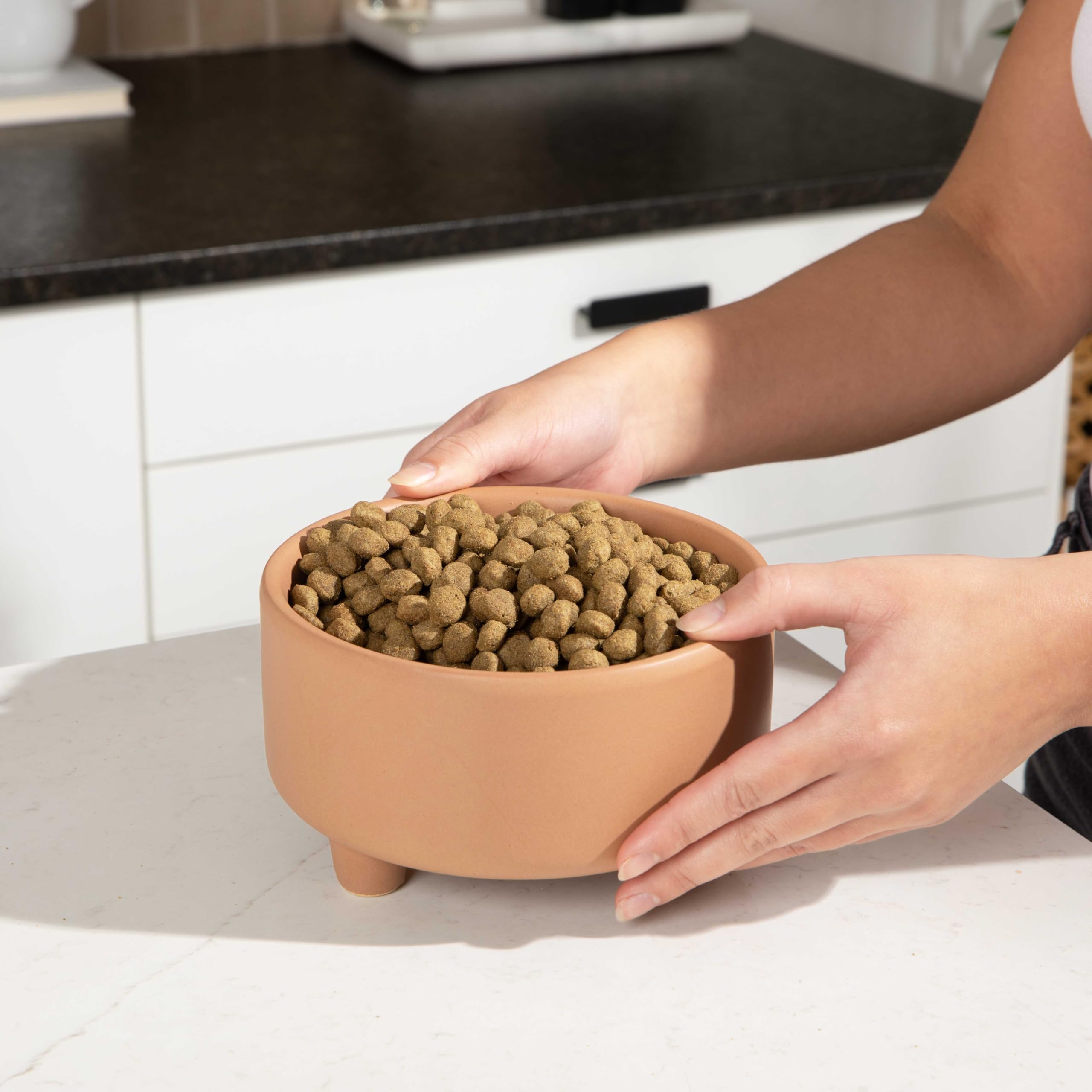 Bol Waggo Uplift petit, bol en céramique lourde et stable pour petites races.