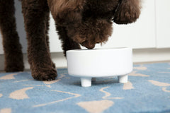 Bol Waggo Uplift élevé, base large, anti-tournement en cuisine.