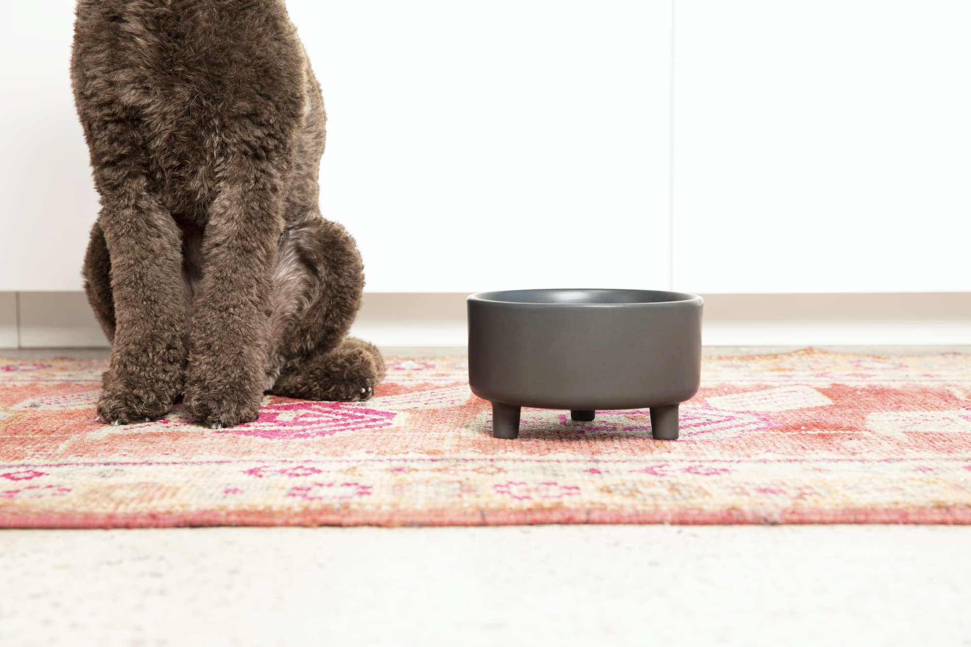 Bol Waggo Uplift compatible lave-vaisselle, nettoyage pratique et rapide.