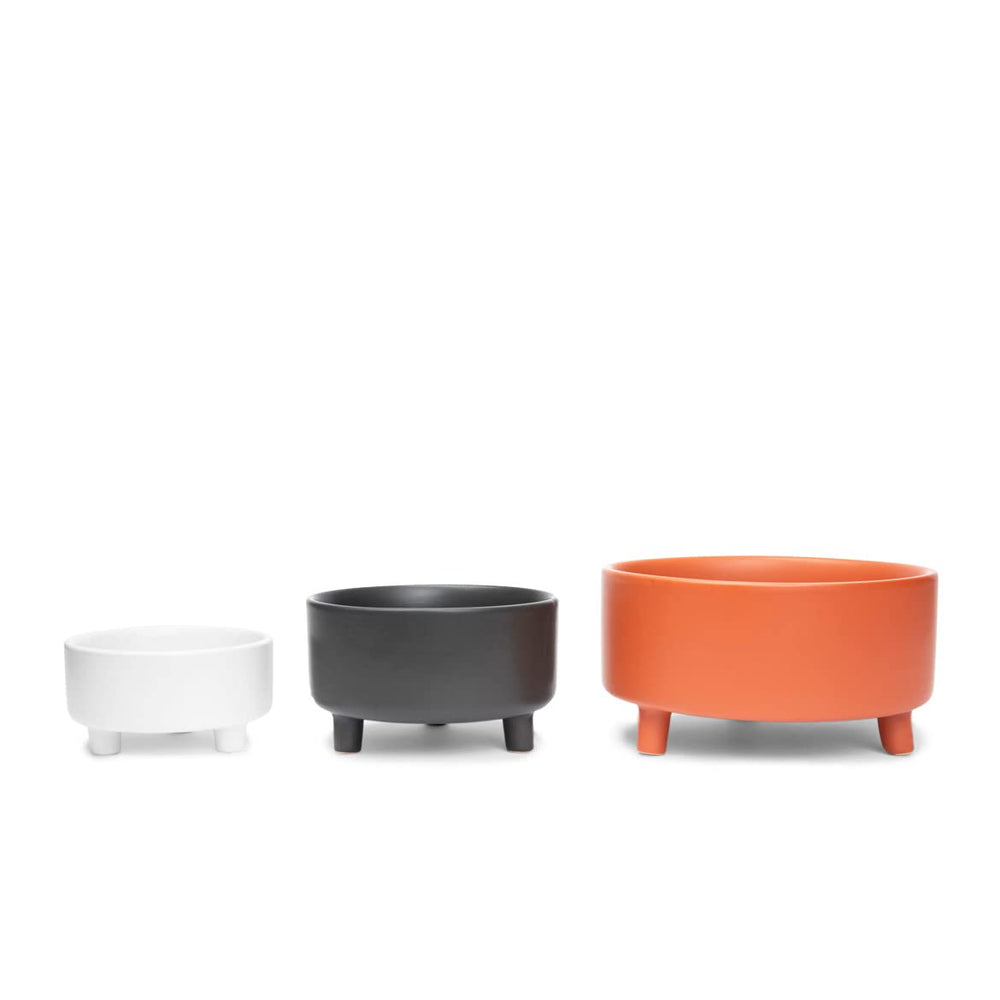Bol Waggo Uplift multifonction pour petits animaux, chats et rongeurs.