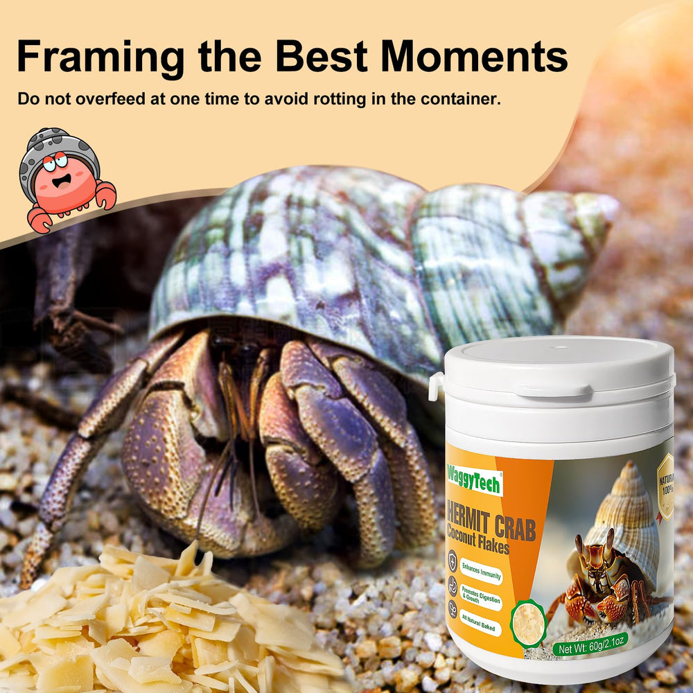WaggyTech Crabe hermite : mode d'alimentation deux tranches par repas.
