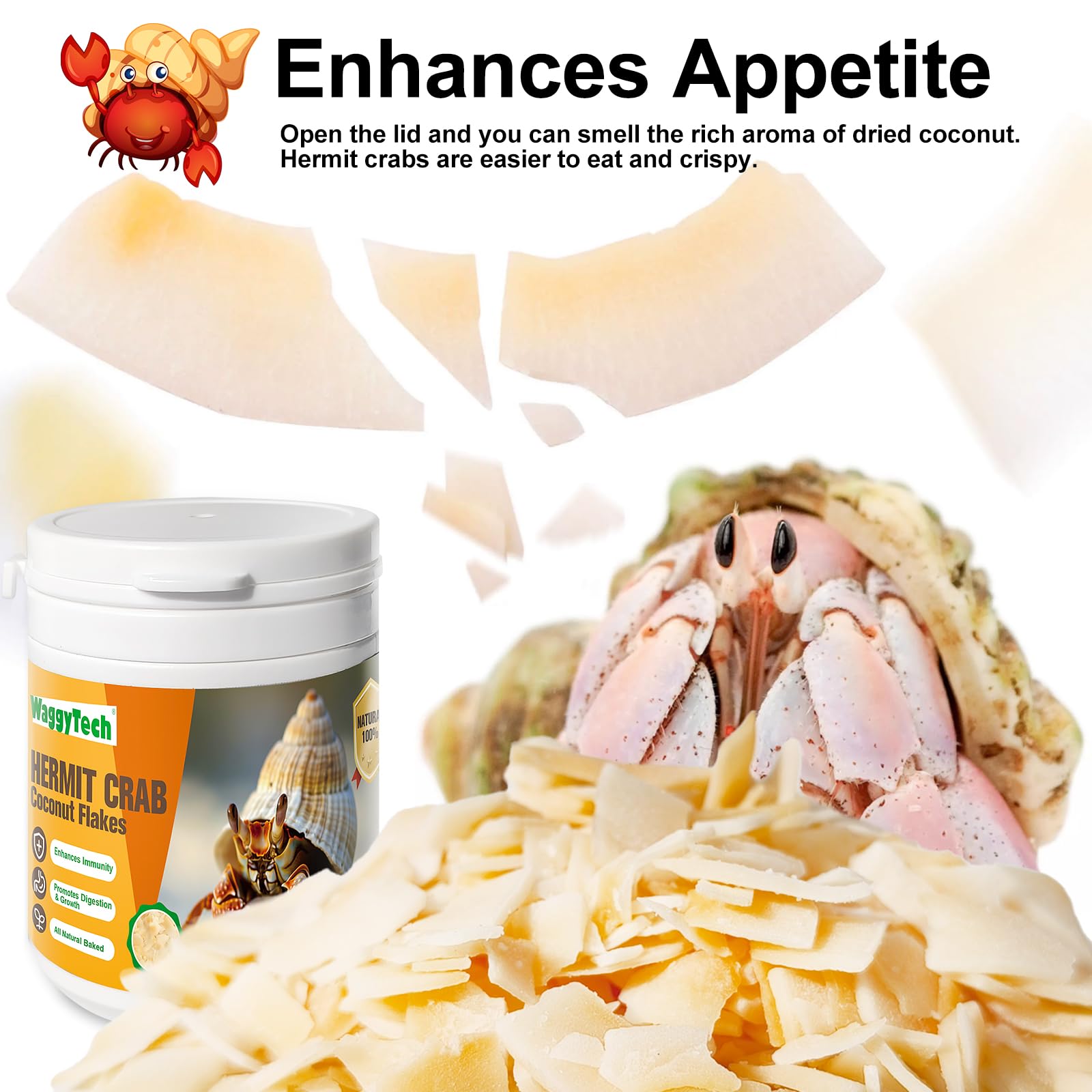 WaggyTech Crabe hermite : prêt à servir sans trempage, pratique à manger.
