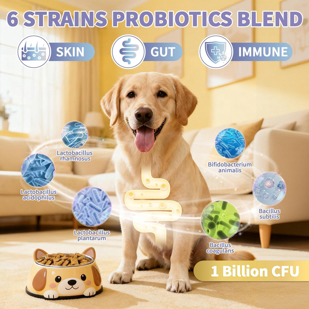 Wagmee bouchées allergie chien peau et poil nourris pour pelage sain