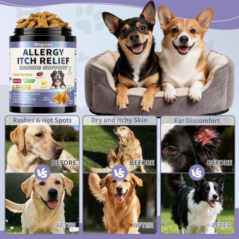 Wagmee bouchées allergie chien pot 500 bouchées approvisionnement durable