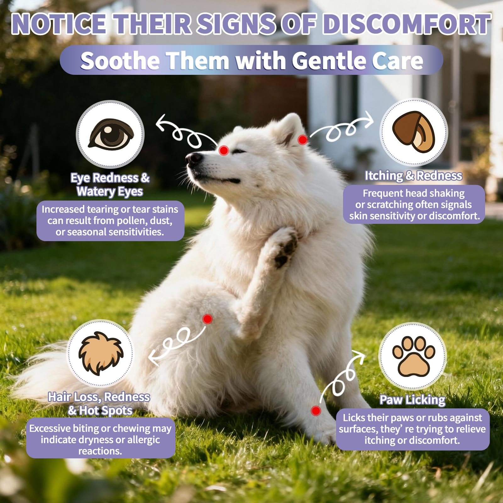 Wagmee bouchées allergie chien probiotiques soutien digestif potentiel