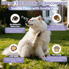 Wagmee bouchées allergie chien probiotiques soutien digestif potentiel