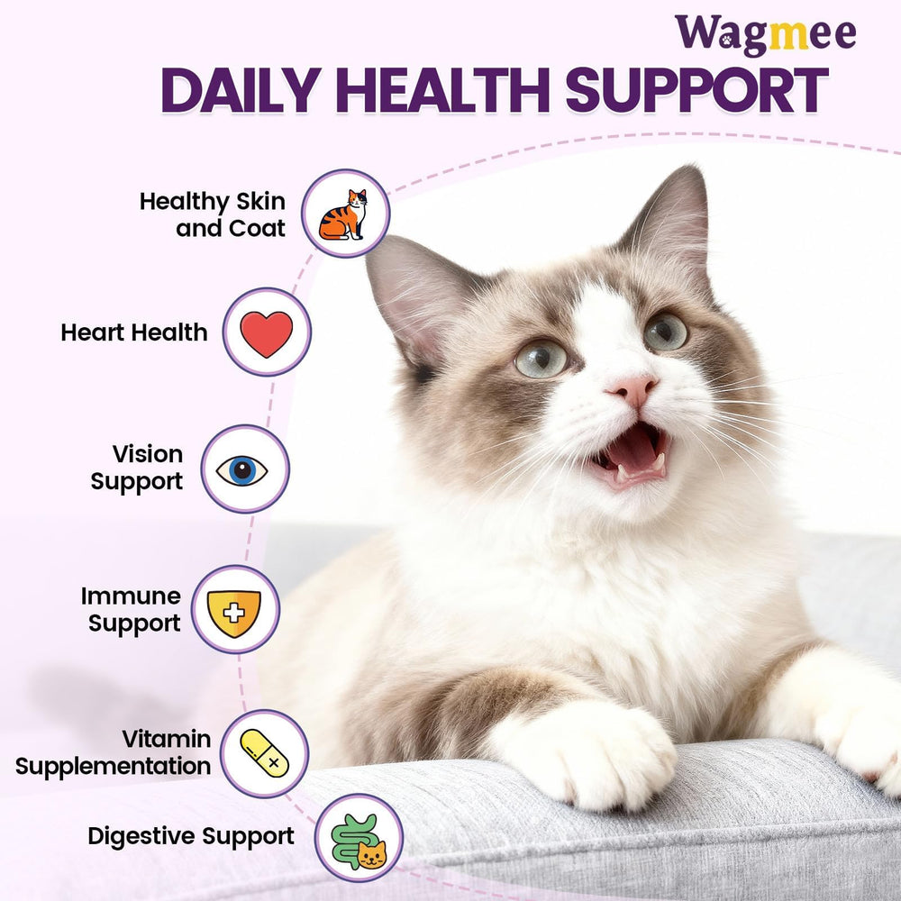 Wagmee chat ingrédients-naturels citrouille et canneberge: saveurs naturelles sans artificiels.