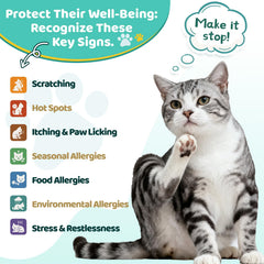 Gouttes Wagmee avec Omega-3 soutenant peau et pelage du chat.
