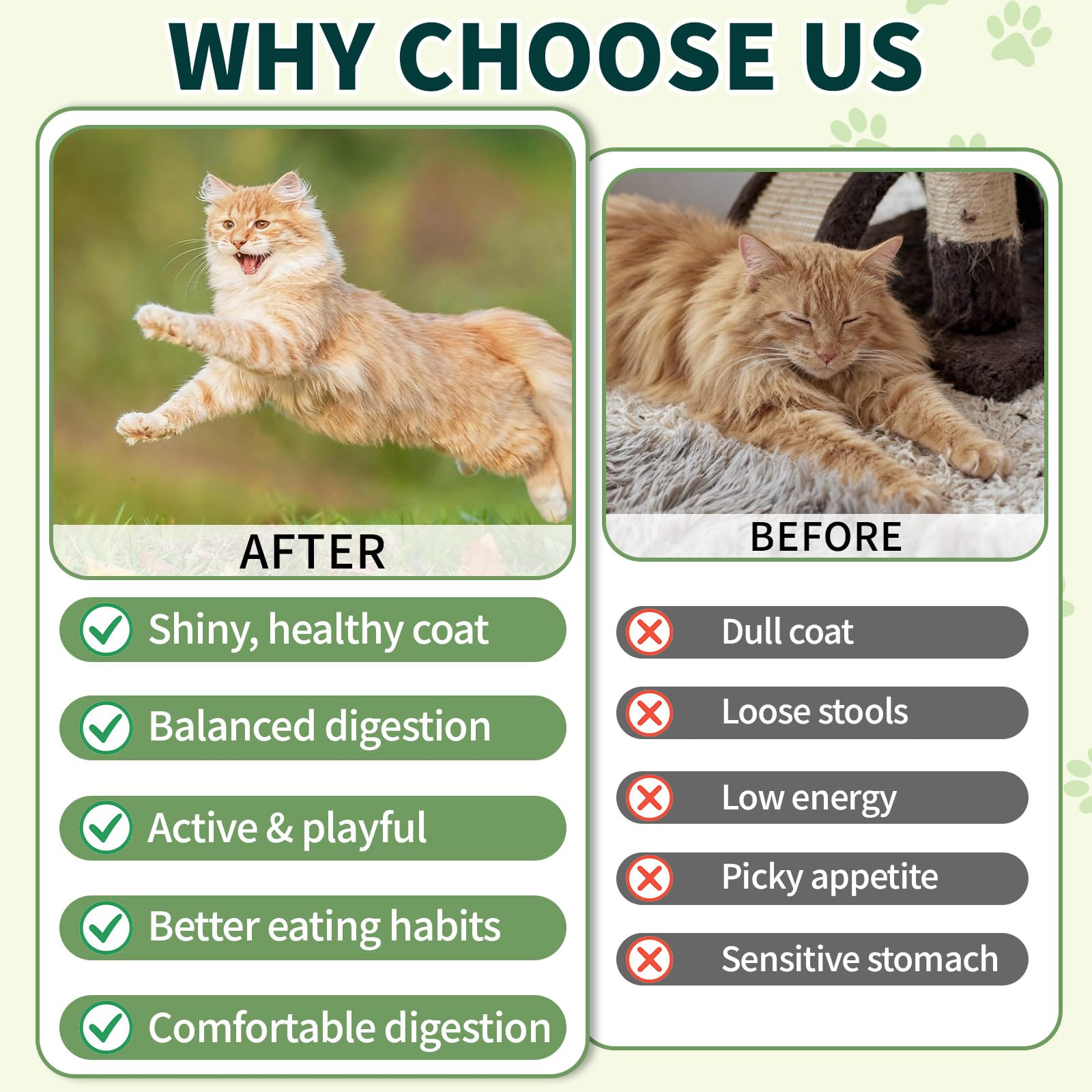 Wagmee Cat Probiotiques: ingrédients naturels poulet et huiles sans additifs artificiels.