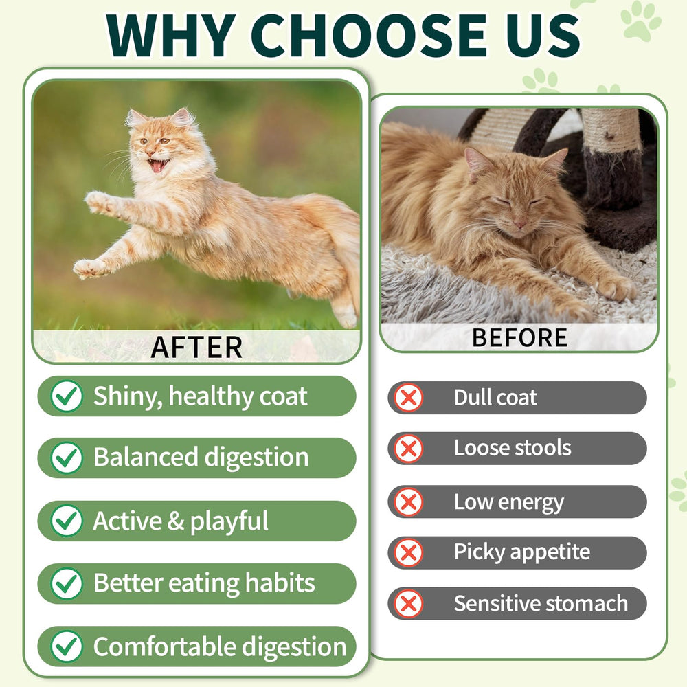 Wagmee Cat Probiotiques: ingrédients naturels poulet et huiles sans additifs artificiels.