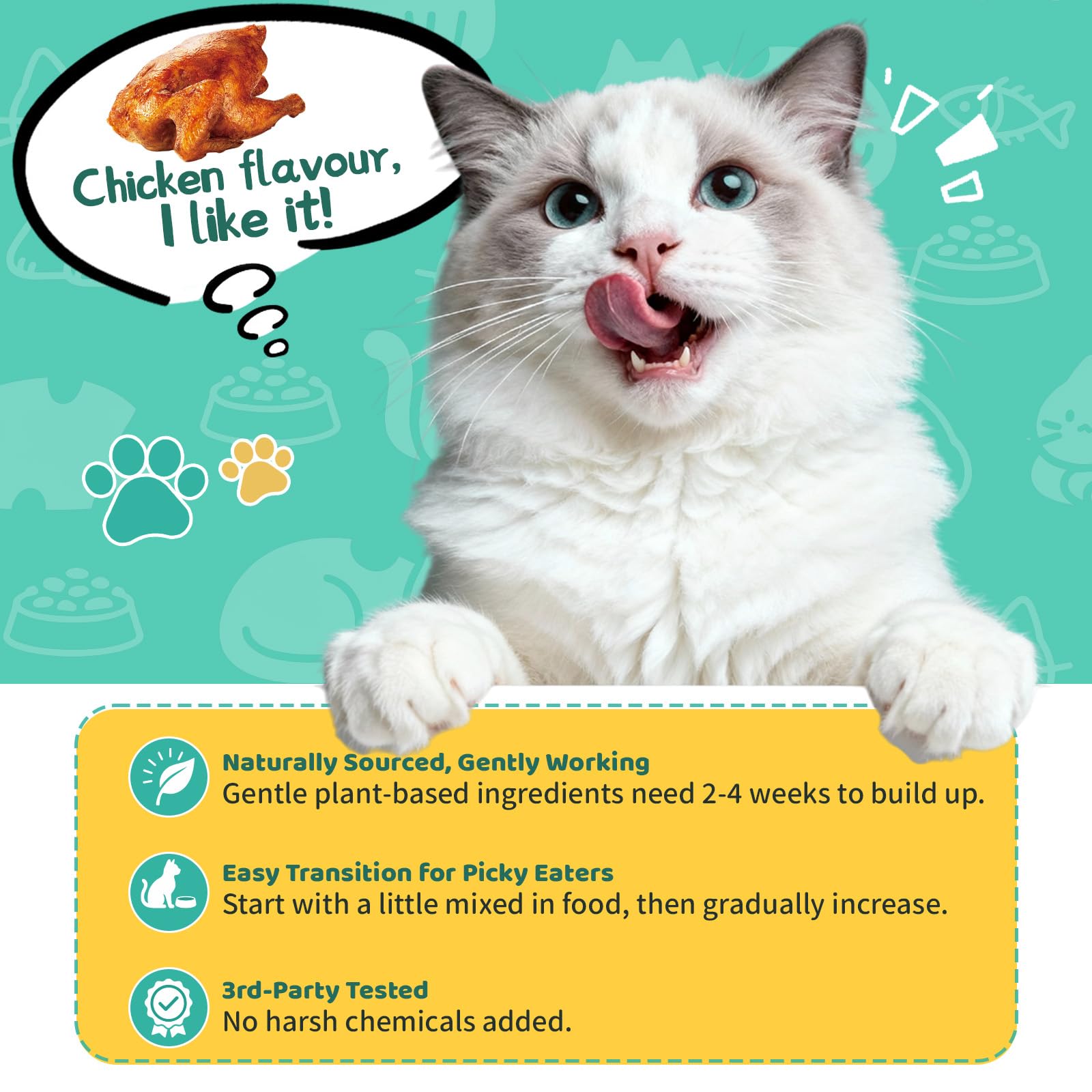 Confort saisonnier du chat grâce à Wagmee.