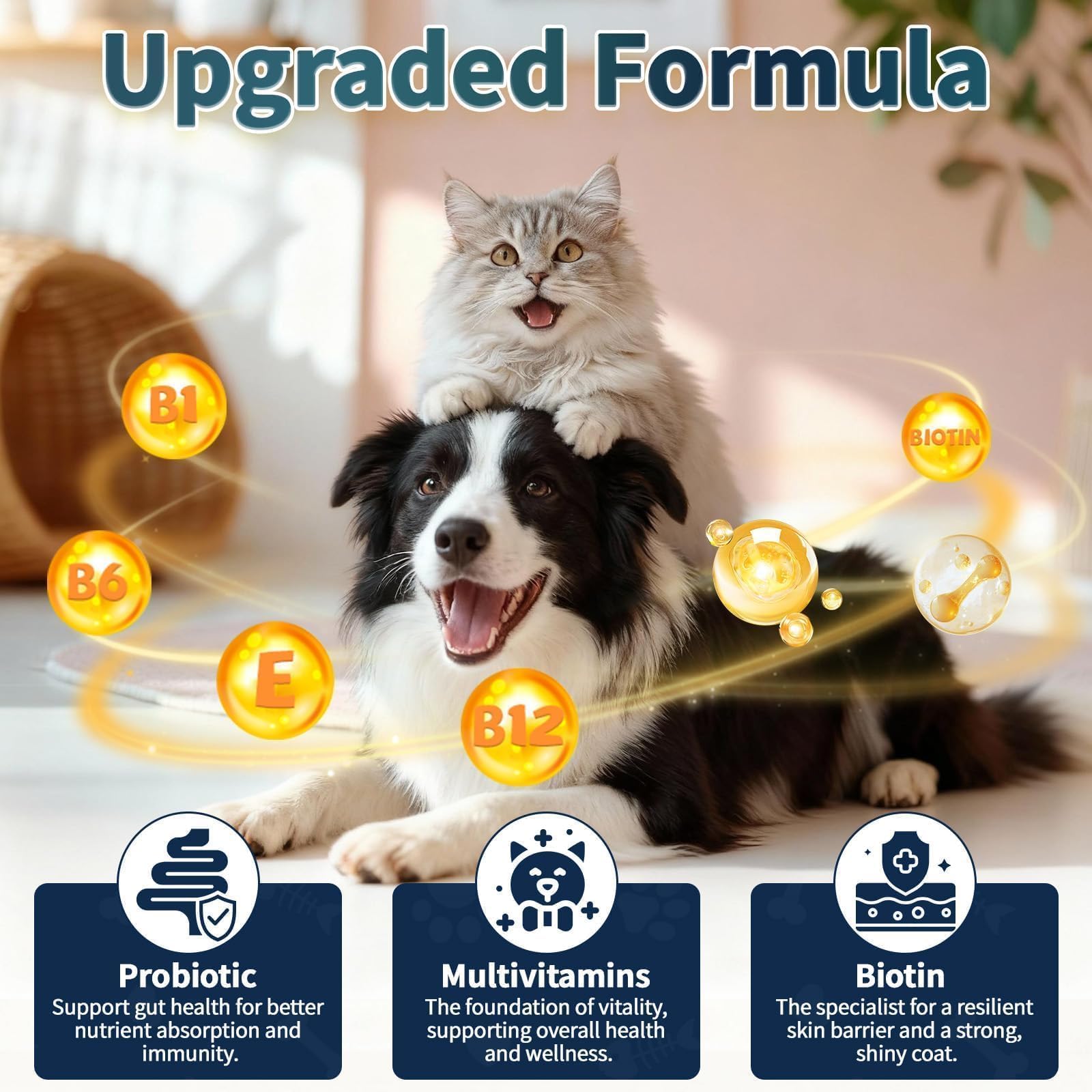 Wagmee dosage-quotidien-simple, administration facile selon le poids.