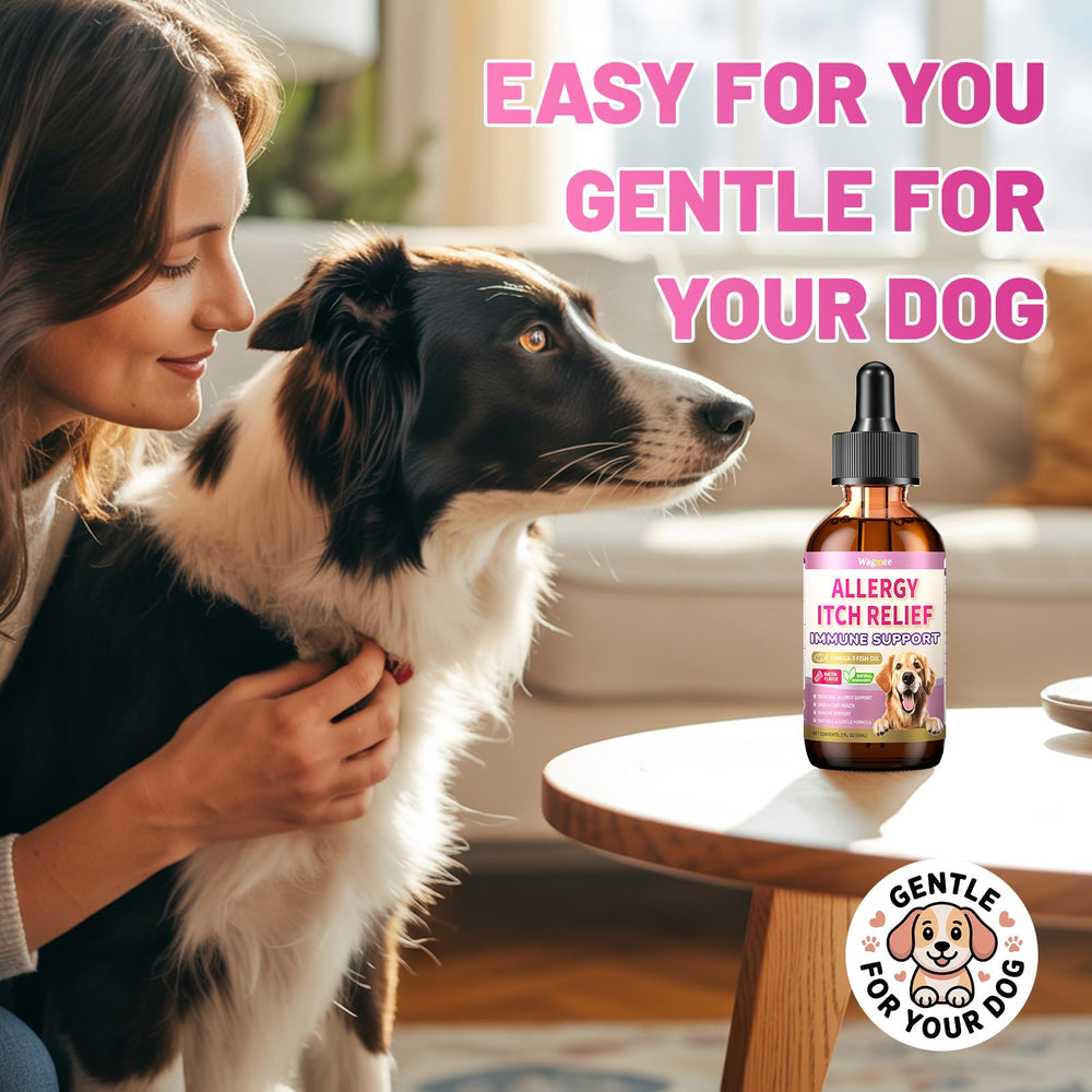 Emballage Wagmee – sans additifs et usage quotidien.
