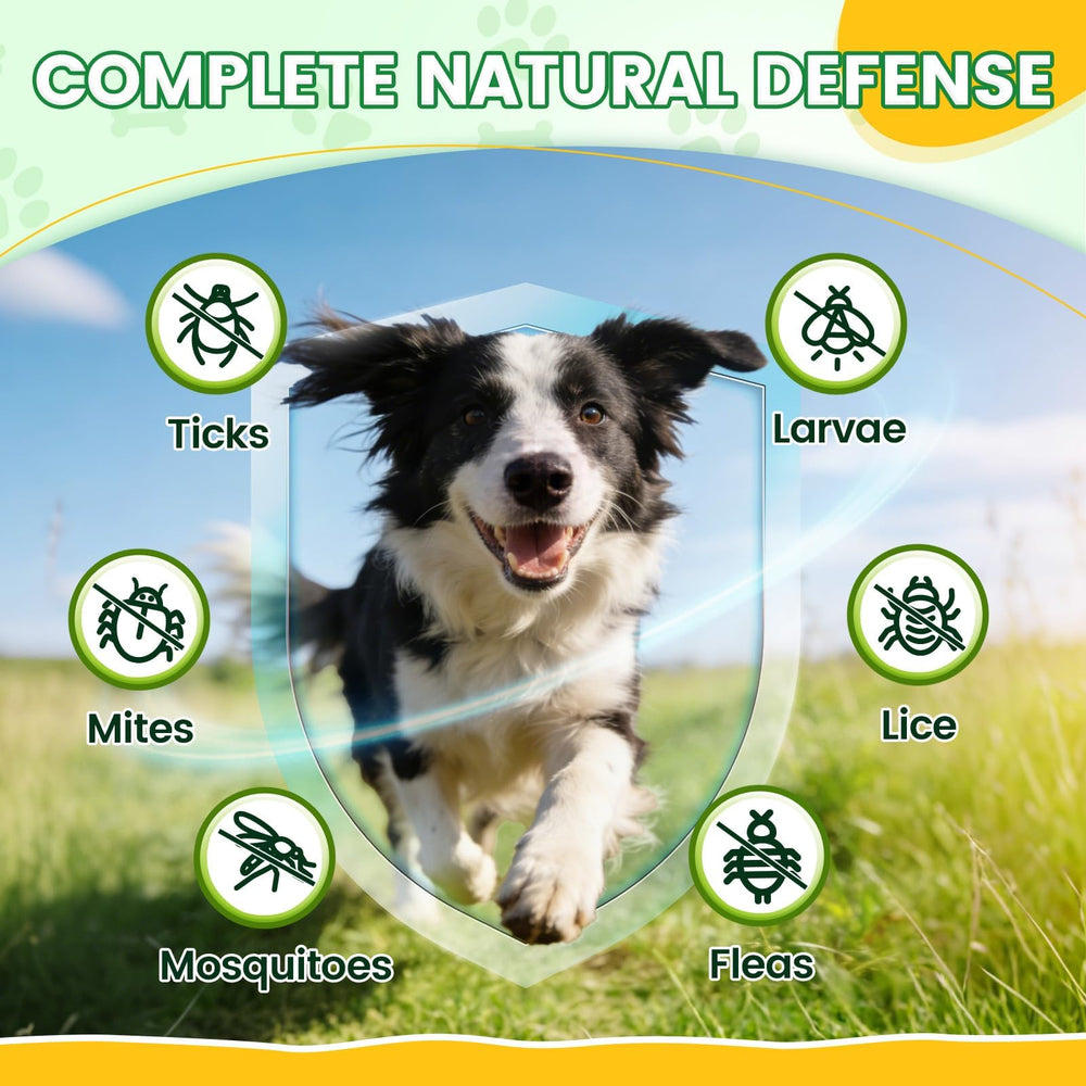 Wagmee interieur-krill-remplissage-savoureux, découverte gourmande pour chiens exigeants.