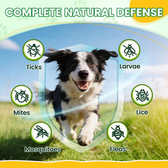 Wagmee interieur-krill-remplissage-savoureux, découverte gourmande pour chiens exigeants.