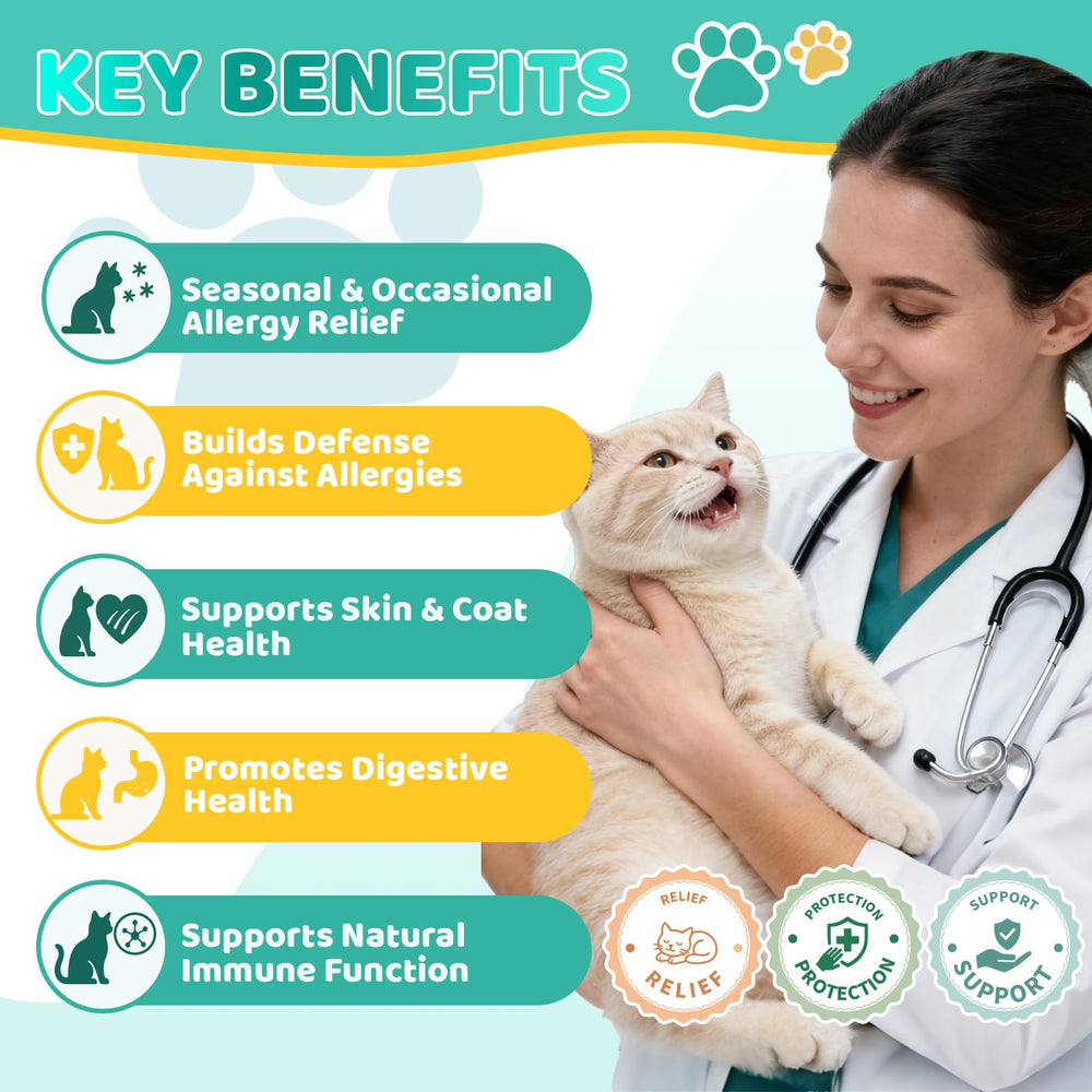 Probiotiques Wagmee soutenant digestion et bien-être du chat.
