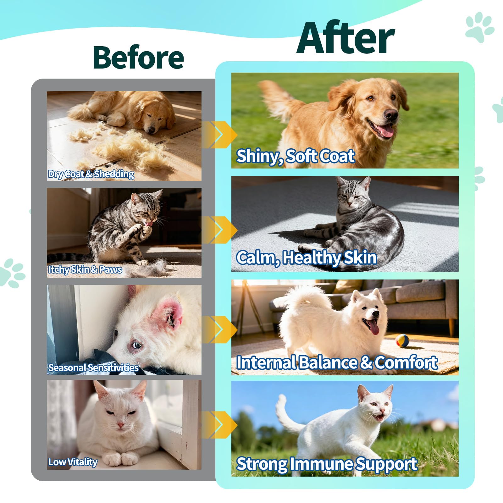 Goût poulet Wagmee apprécié par chats et chiens.