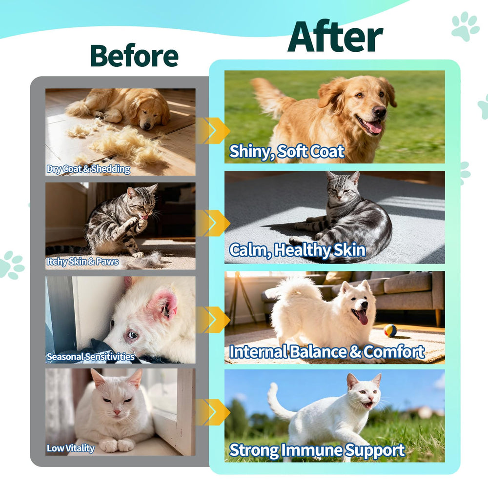 Goût poulet Wagmee apprécié par chats et chiens.