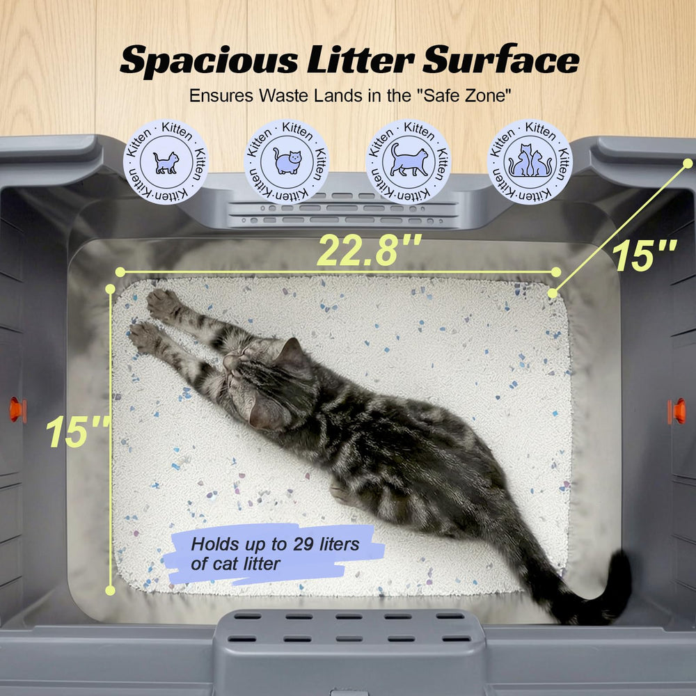 Grand chat jusqu’à 16 lb dans l’espace Wagora.