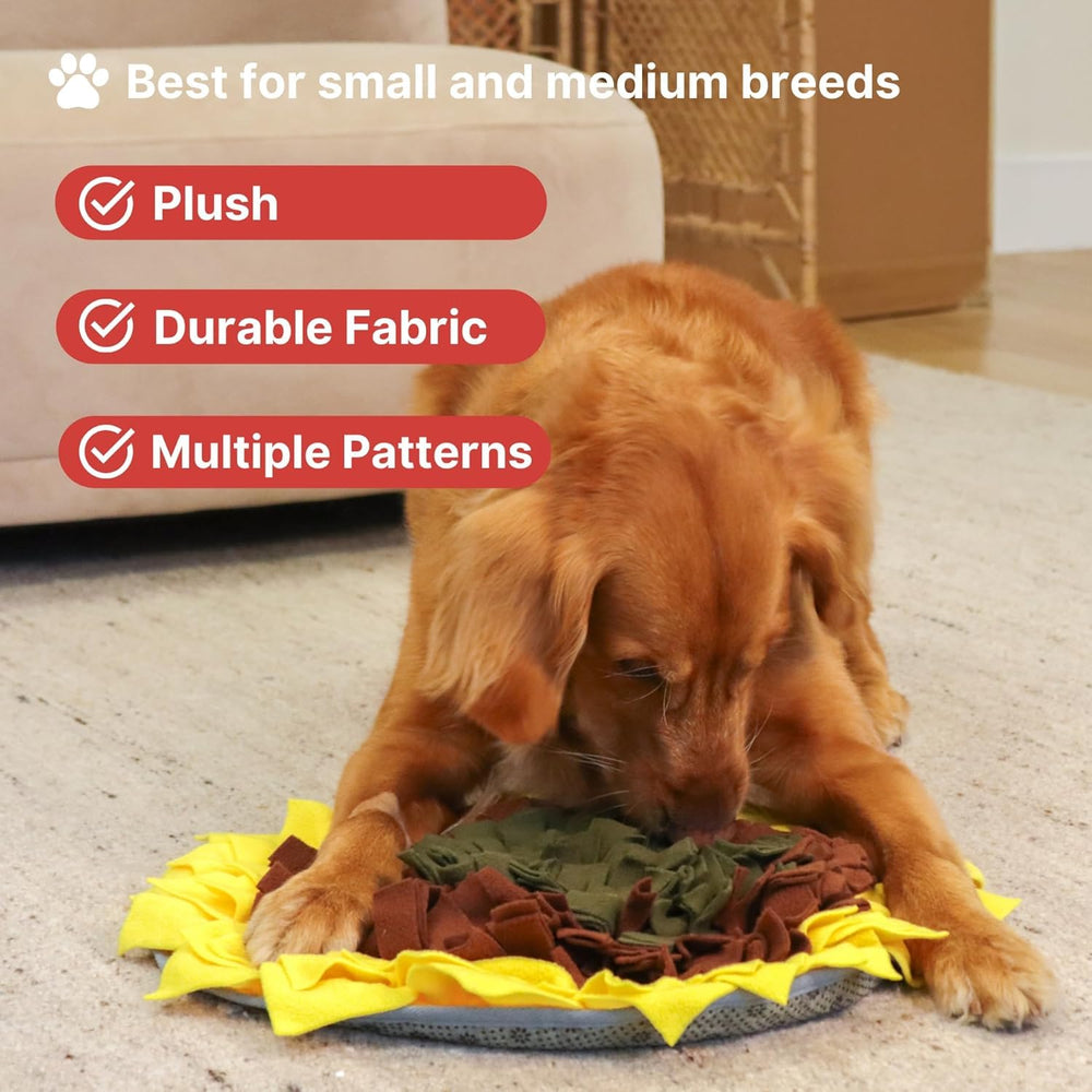 Wagorific Snuffle Mat éducation mentale: déclenche la curiosité et la concentration.
