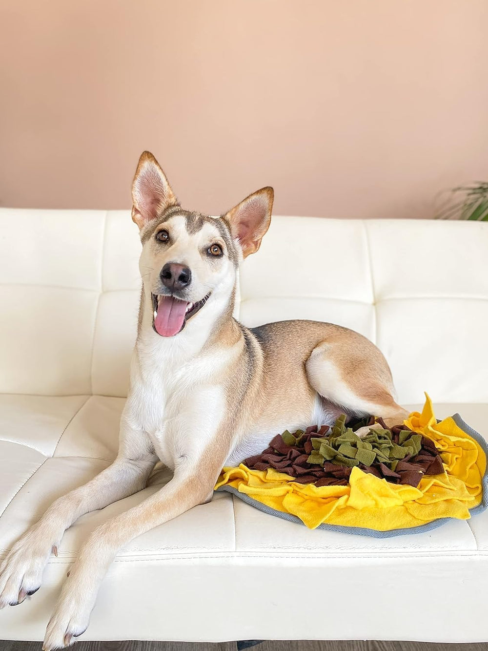 Wagorific Snuffle Mat Soleil motif: défis progressifs pour stimuler l'activité mentale du chien.