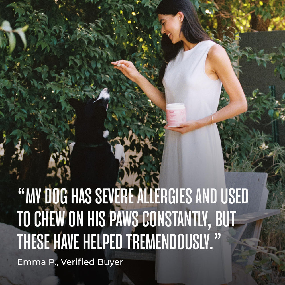 Goût poulet WagWell Allergy & Itch Chews, appétent pour les chiens.