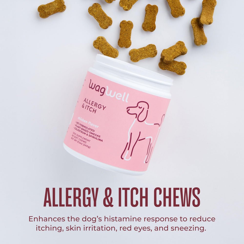 Texture moelleuse des WagWell Allergy & Itch Chews, parfaite comme friandise quotidienne.