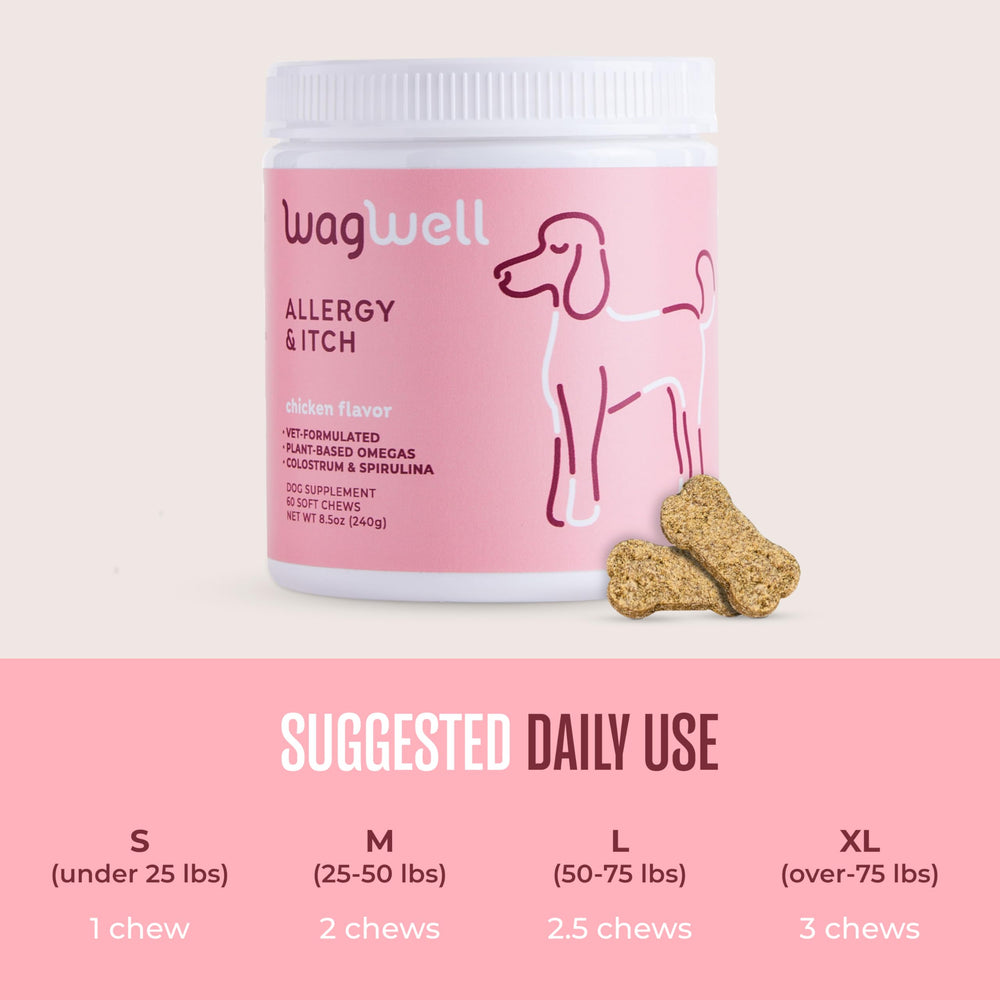 Utilisation quotidienne simple WagWell Allergy & Itch Chews, ajoutée au repas.