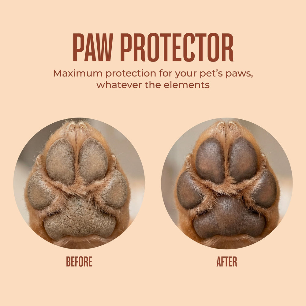 Pommade WagWell, bâton solide et sans dégâts, pratique en déplacement.