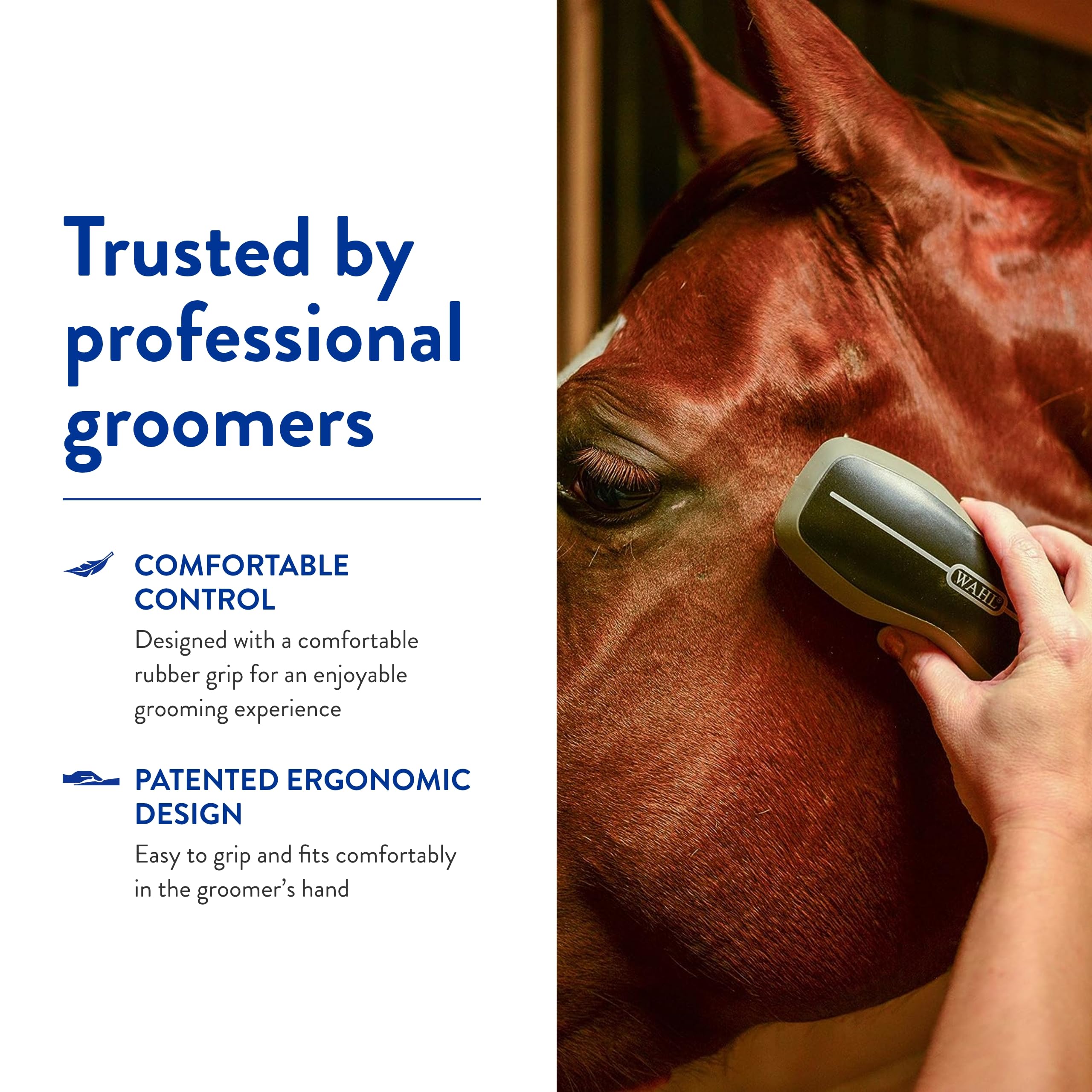 WAHL brosse cheval pelage propre et sain grâce au brossage régulier.
