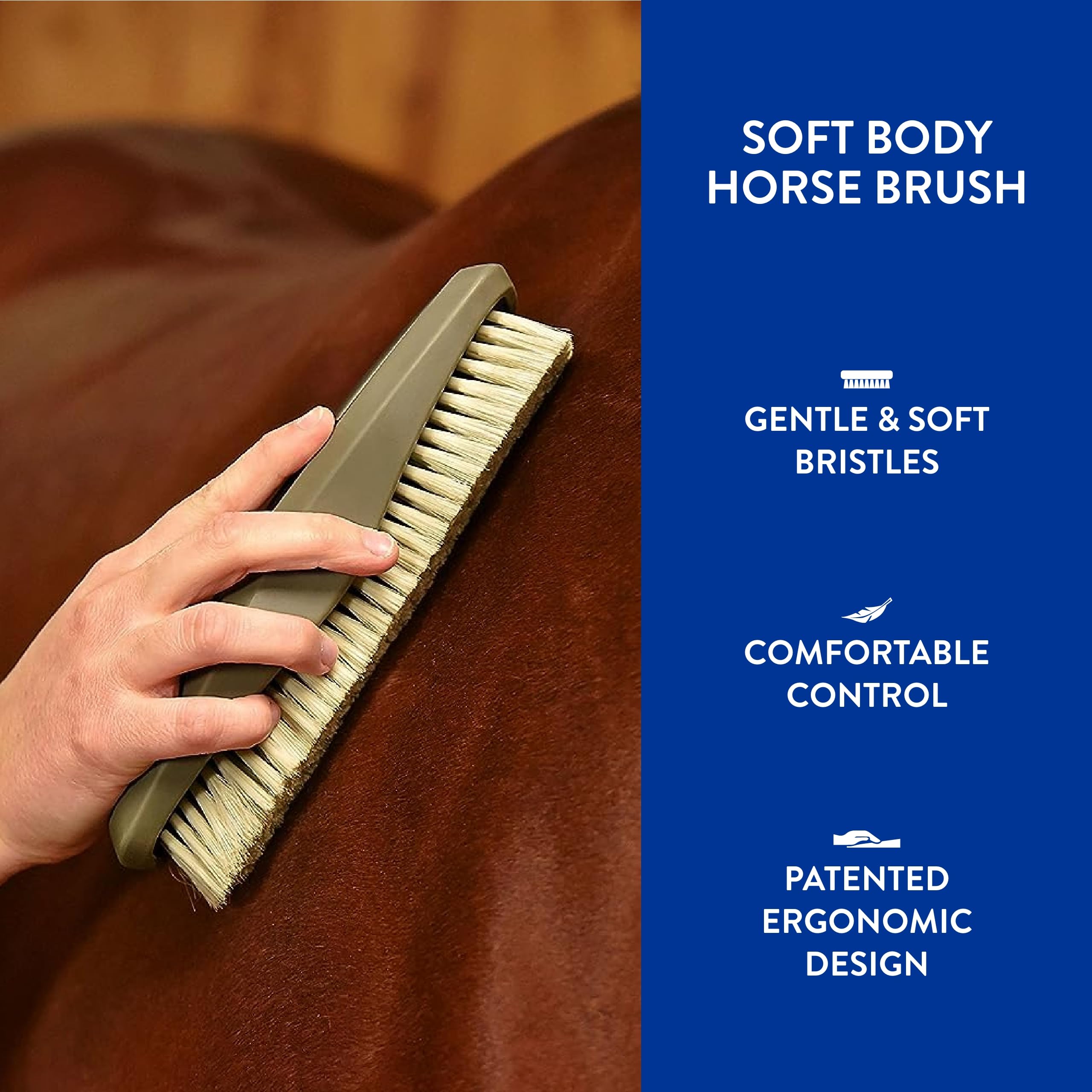 Nettoyage rapide et efficace du pelage grâce à la brosse WAHL.
