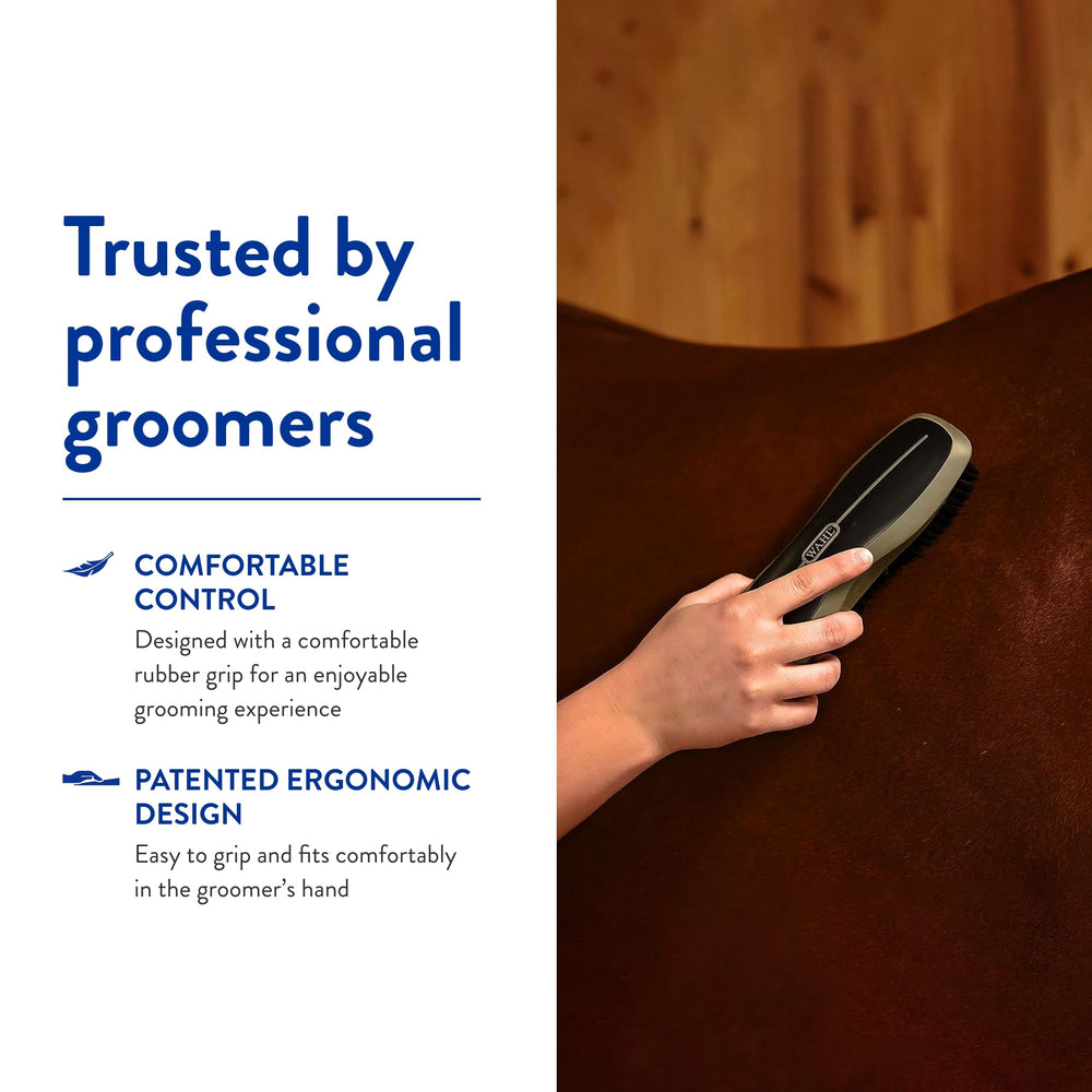 Wahl Stiff Body utilisée sur cheval, séance de toilettage fluide.