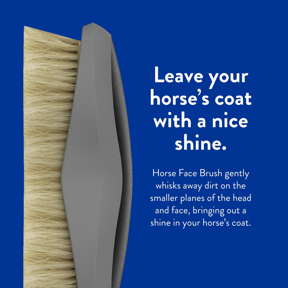 WAHL brosse visage cheval design ergonomique facilitant le grooming.