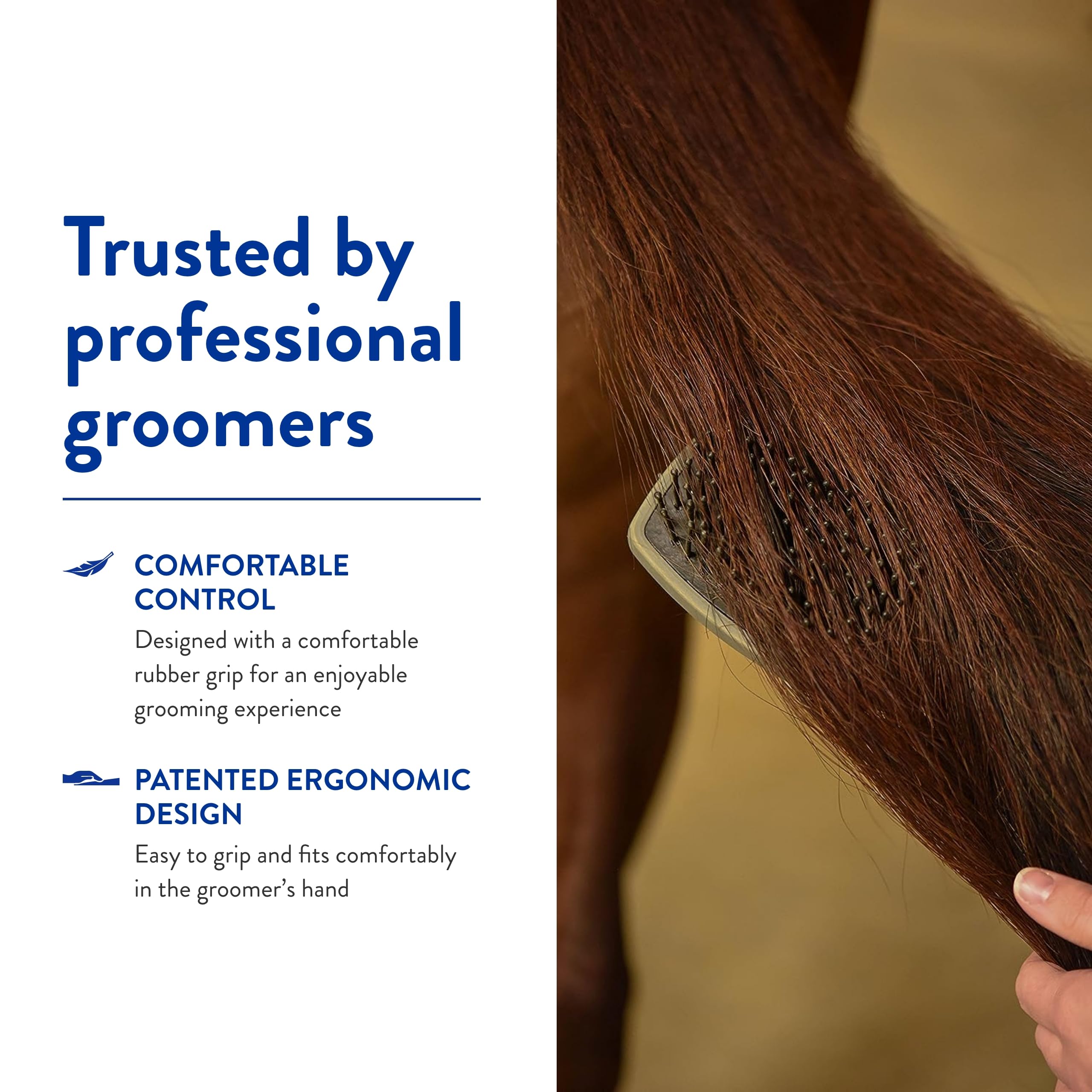 Wahl convient à une utilisation quotidienne sur cheval vivant et réactif.