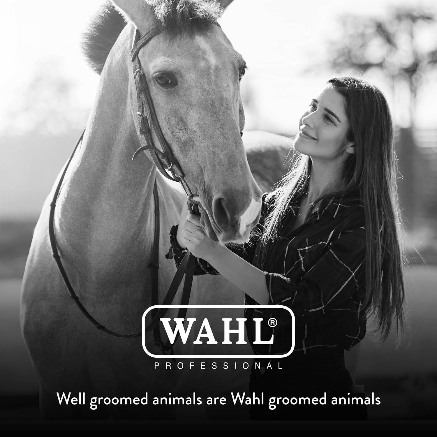 WAHL plus de 100 ans d'expertise pour toilettage professionnel.