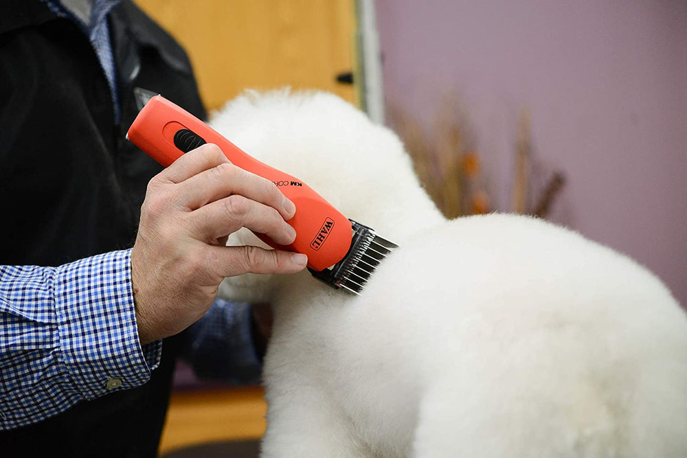 Utilisation pratique de l’attache Wahl jaune pour chiens et chats en quelques secondes.