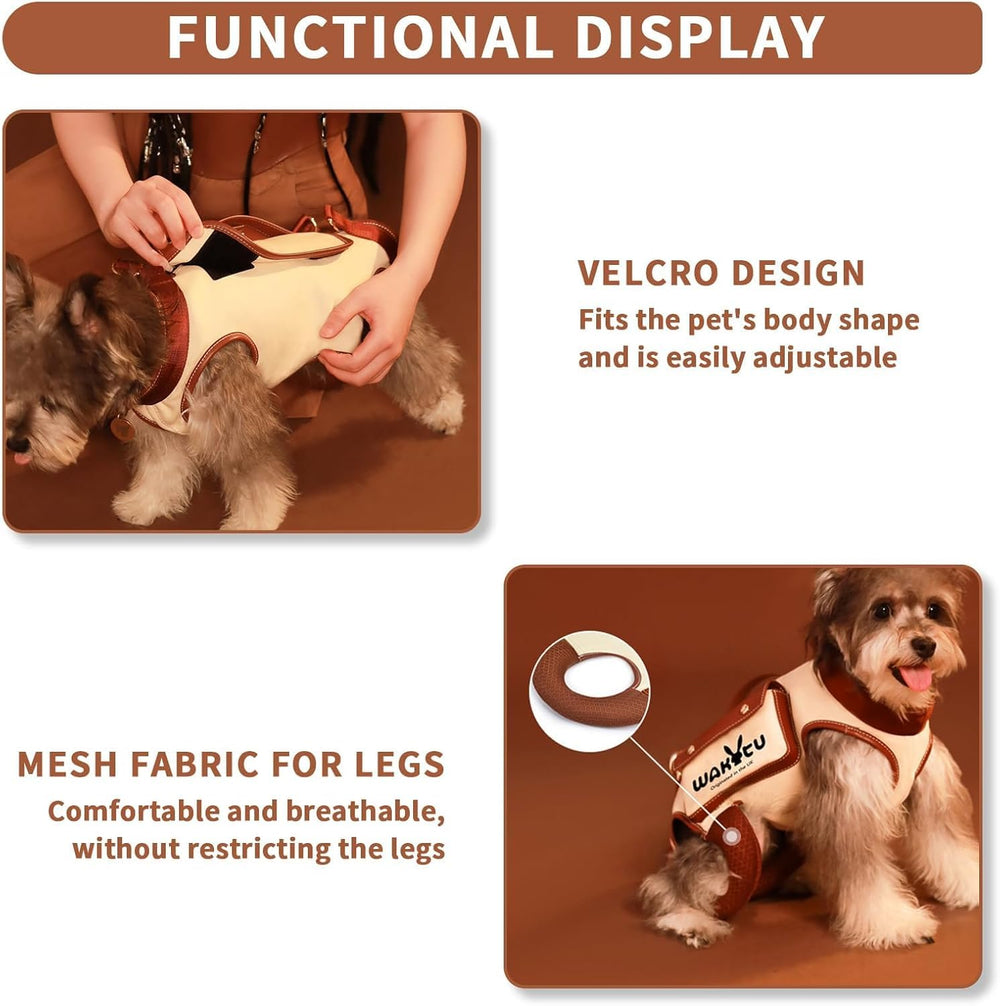 Harnais Wakytu pour chien, poche gourde pour friandises