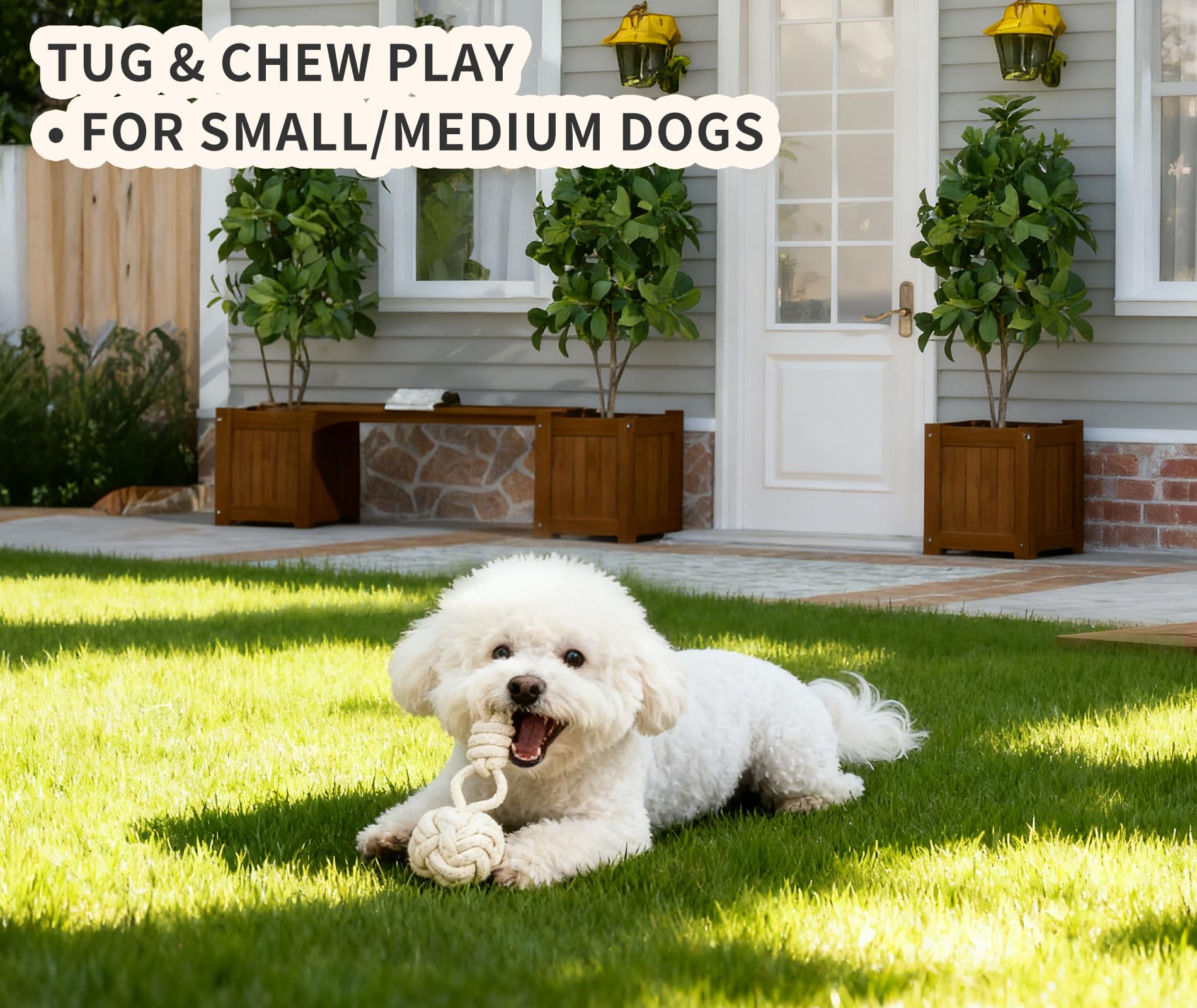 Wanapure anneau plaque nom chien, personnalisation pratique.